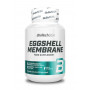 BioTechUSA Eggshell Membrane 60 caps.