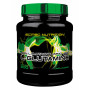 Scitec Nutrition L-GLUTAMINE (600 GR.)