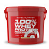 Scitec Nutrition 100% Whey Protein Professional (4 kg)